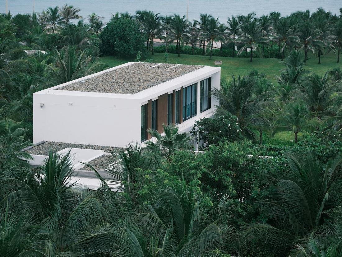 Modern white home among palm trees